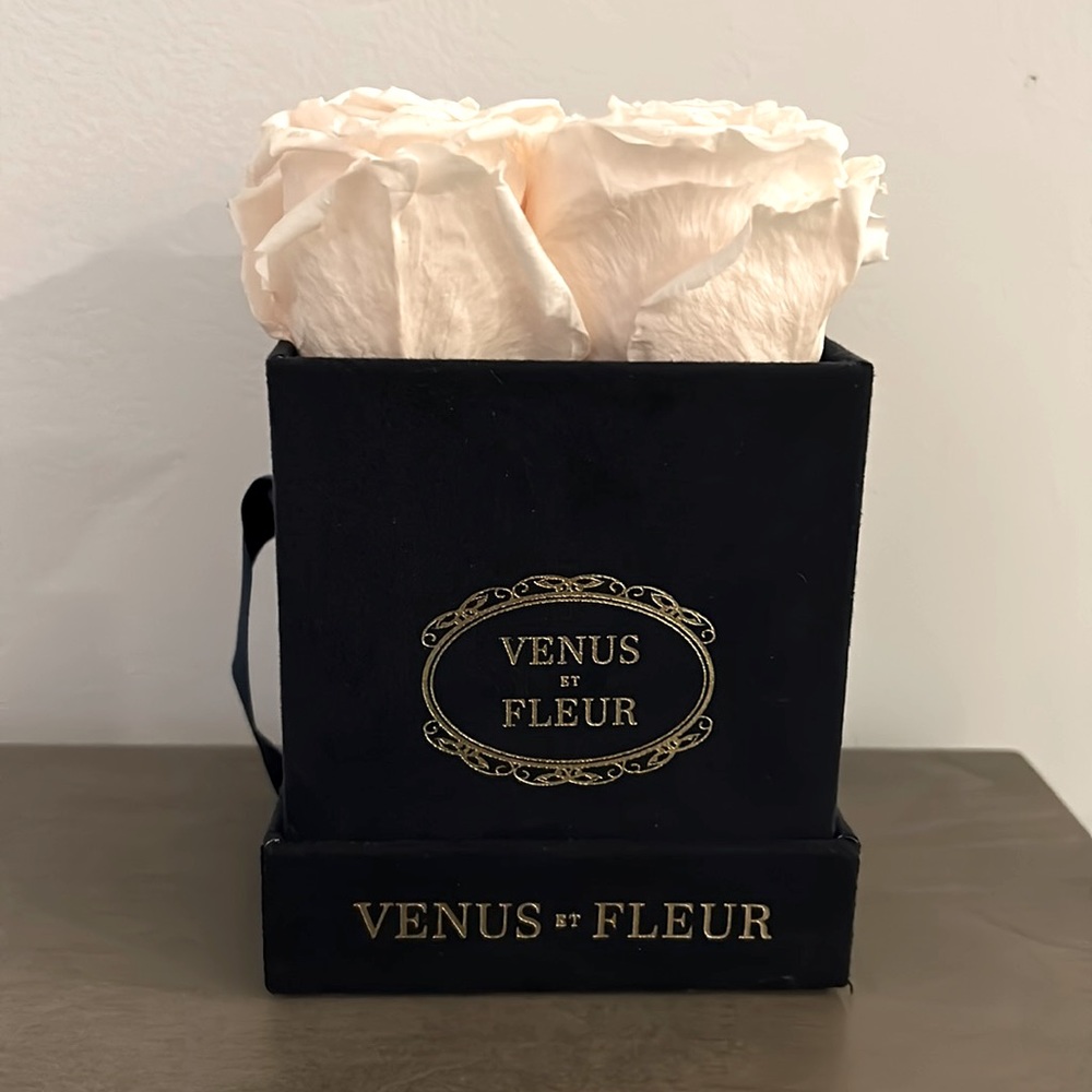 Venus Et Fleur 4 light pink roses